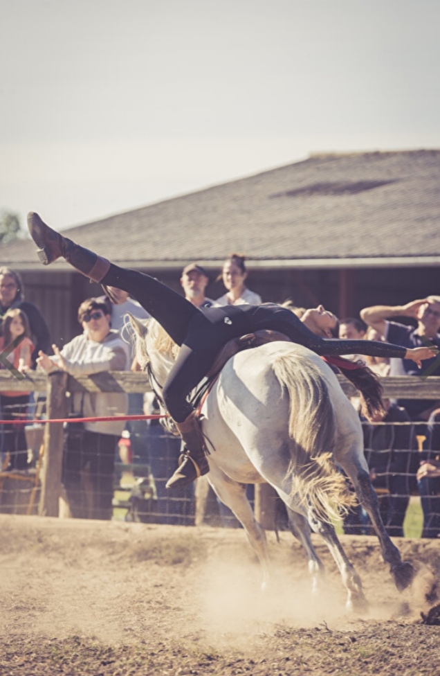 camargue equitation