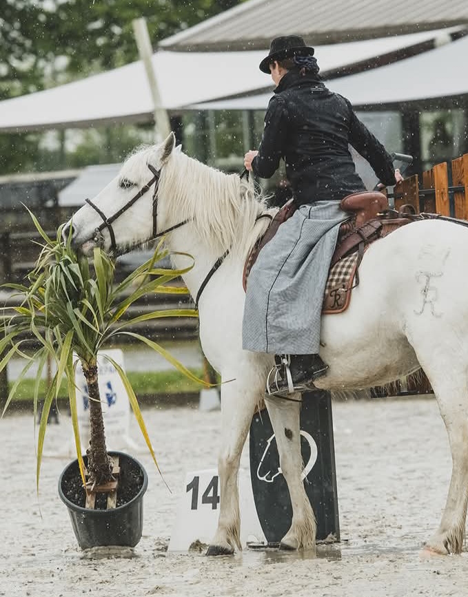 Camargue equitation