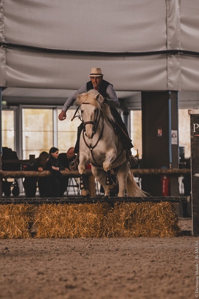 camargue equitation