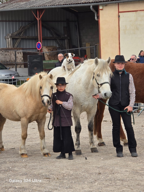 Camargue Equitation