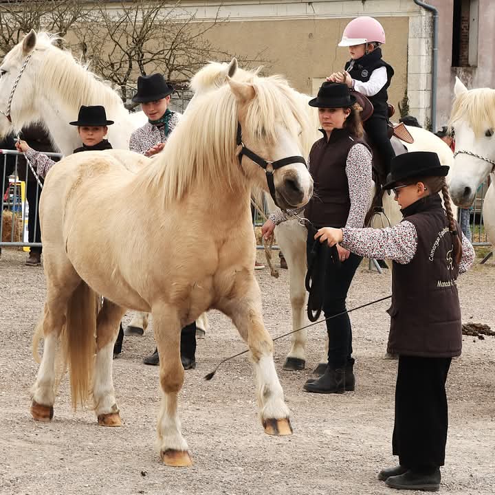 Camargue Equitation