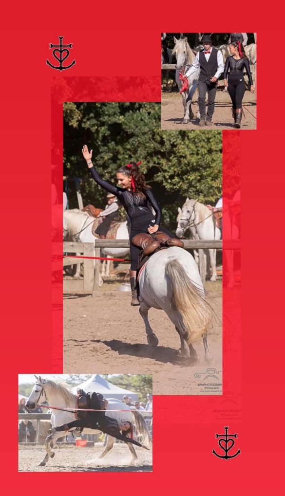 camargue equitation
