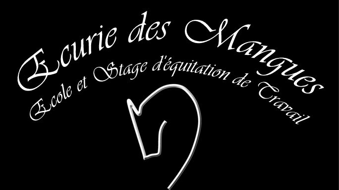 stage equitation camargue