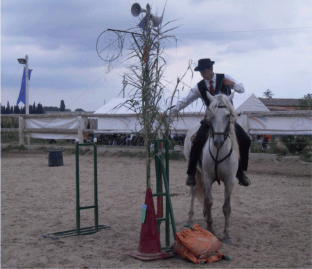 championnat de france camargue 2008