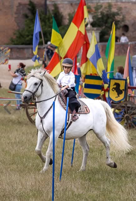 camargue equitation